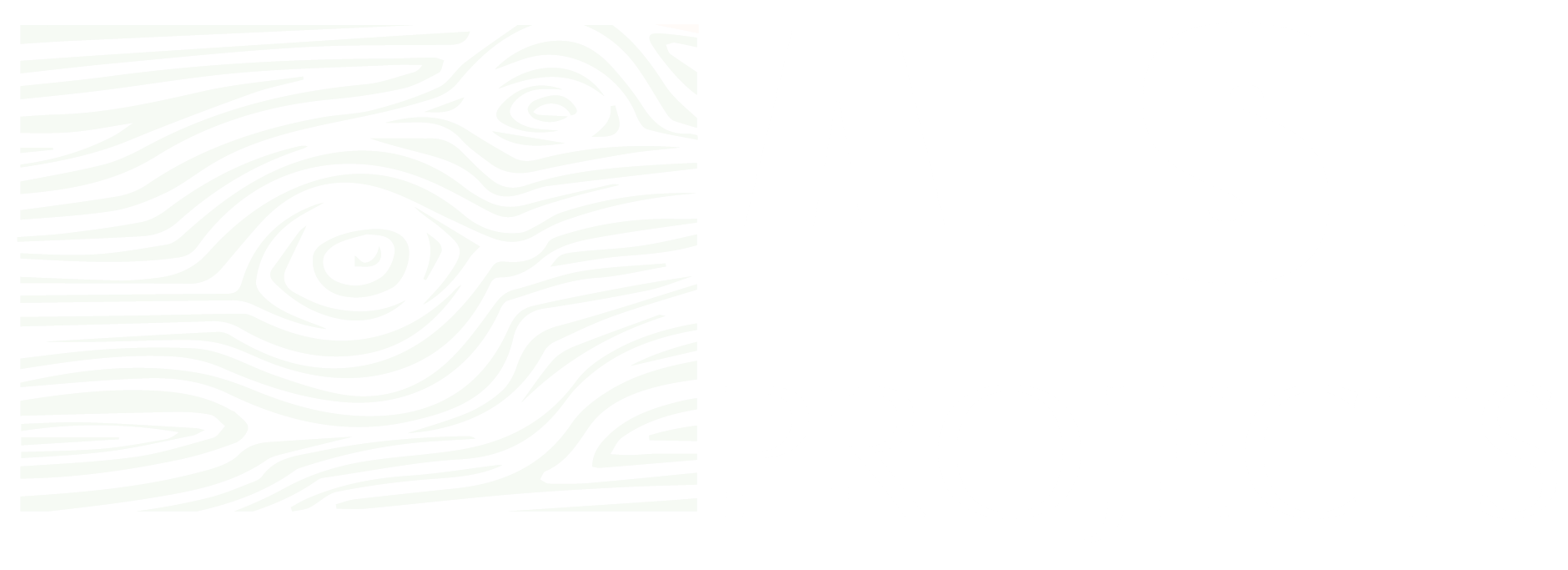 White ATST logo